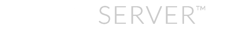 VisualServer X logo